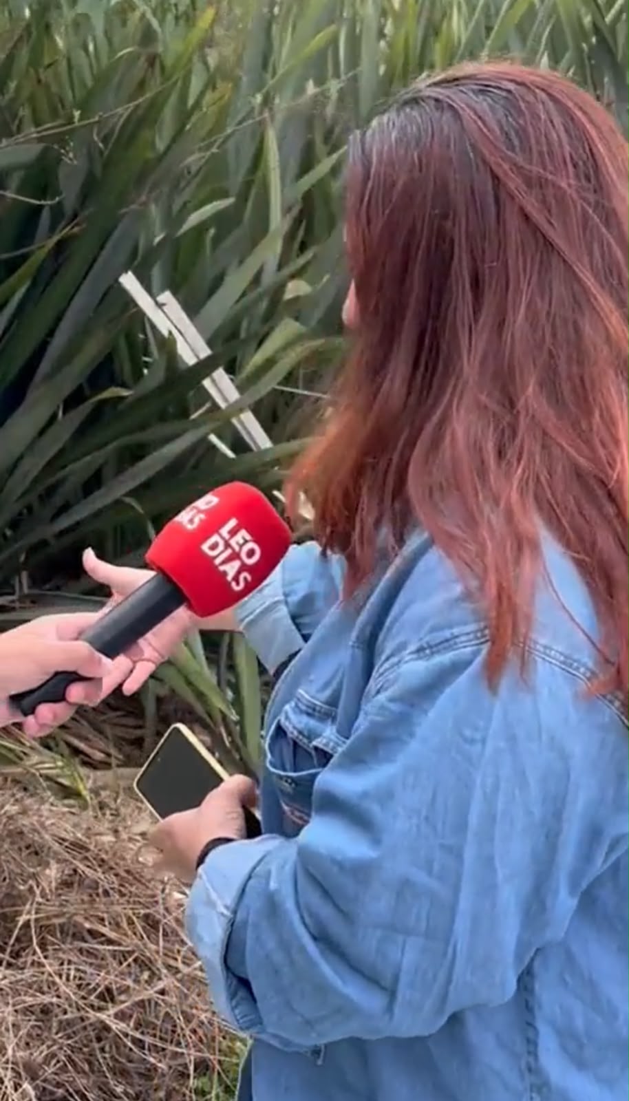 Mulher conta como encontrou recém-nascida em saco de lixo no Paraná: “Menina linda”