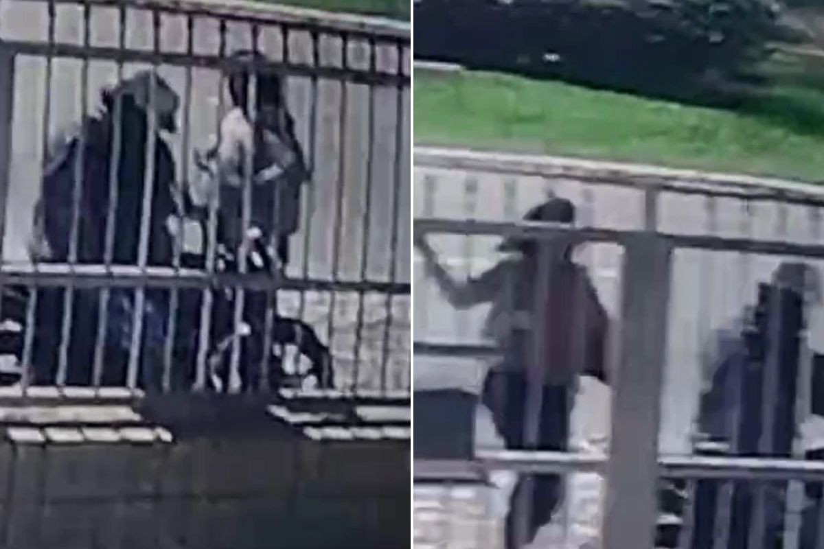 Vídeo mostra mulher caindo sozinha durante briga com companheiro; morte é investigada